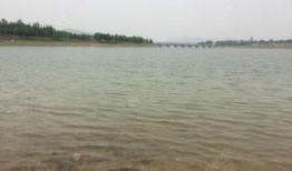 东风水库爆料视频最新,揭秘水库神秘面纱背后的故事